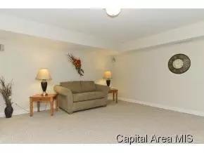 309 Keystone, Chatham, IL 62629 photo 17