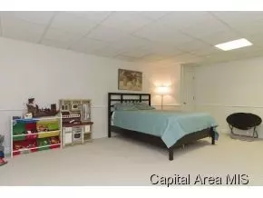 309 Keystone, Chatham, IL 62629 photo 19
