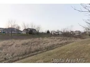 309 Keystone, Chatham, IL 62629 photo 24