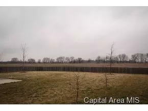 4809 Greenbriar, Springfield, IL 62711 photo 4