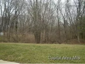 8028 Wilson Ter, Springfield, IL 62712 photo 24