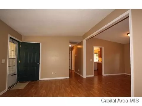 112 E Colburn, Loami, IL 62661 photo 4