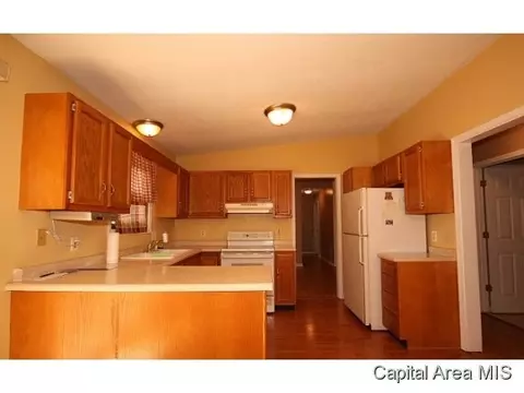 112 E Colburn, Loami, IL 62661 photo 5