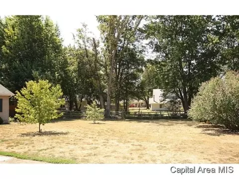 112 E Colburn, Loami, IL 62661 photo 15