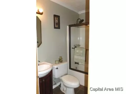 817 Diane Ct, Springfield, IL 62702 photo 10