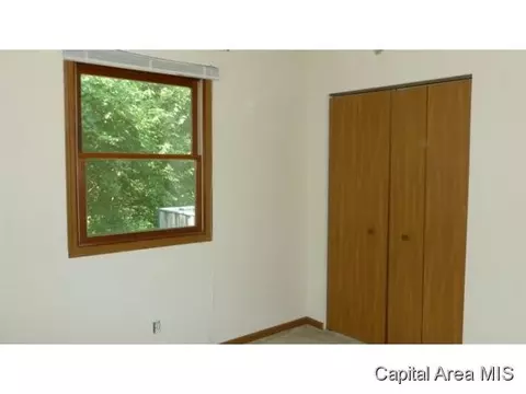 817 Diane Ct, Springfield, IL 62702 photo 16
