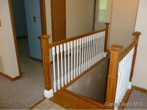 817 Diane Ct, Springfield, IL 62702 photo 20