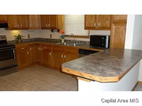 817 Diane Ct, Springfield, IL 62702 photo 4