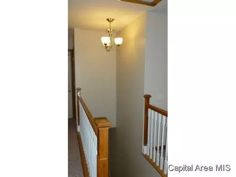 817 Diane Ct, Springfield, IL 62702 photo 13