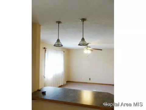 817 Diane Ct, Springfield, IL 62702 photo 19