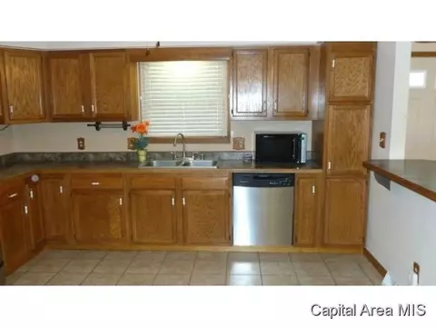 817 Diane Ct, Springfield, IL 62702 photo 3