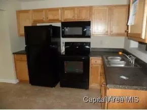 1008 Ohio, Springfield, IL 62702 photo 8