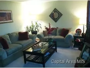 34 Meadowview, Chatham, IL 62629 photo 2