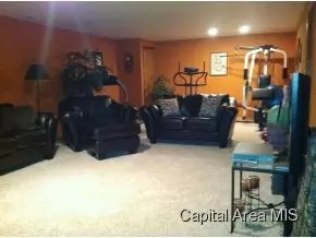 34 Meadowview, Chatham, IL 62629 photo 11