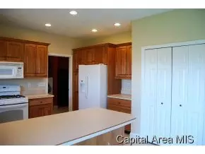 307 Eagle Rdg, Chatham, IL 62629 photo 10
