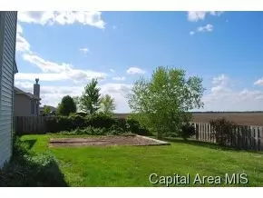 307 Eagle Rdg, Chatham, IL 62629 photo 7