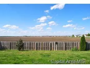 307 Eagle Rdg, Chatham, IL 62629 photo 8