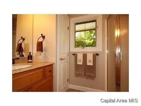 1659 Ruth Pl, Springfield, IL 62704 photo 19