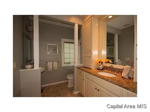 1659 Ruth Pl, Springfield, IL 62704 photo 15