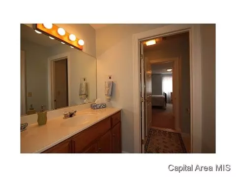1659 Ruth Pl, Springfield, IL 62704 photo 17