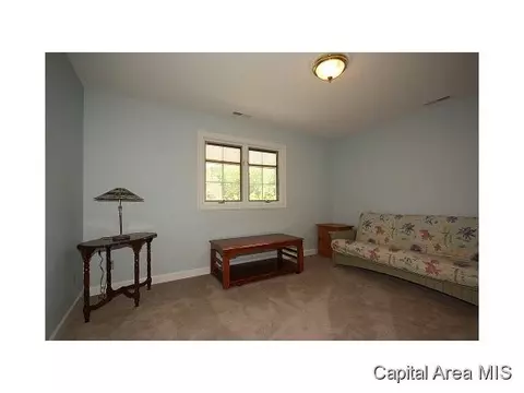1659 Ruth Pl, Springfield, IL 62704 photo 20