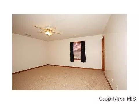 500 E Wineman St, Auburn, IL 62615 photo 20