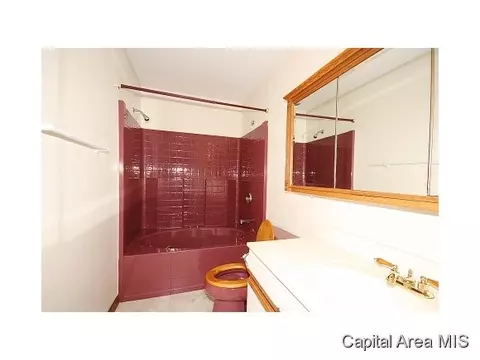 500 E Wineman St, Auburn, IL 62615 photo 22