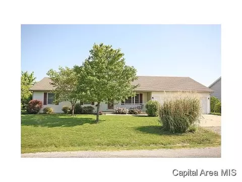 500 E Wineman St, Auburn, IL 62615 photo 10