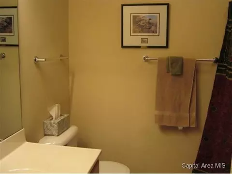 1715 Tern Pl, Springfield, IL 62711 photo 9