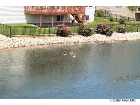 6505 Winterberry Ln, Springfield, IL 62712 photo 11