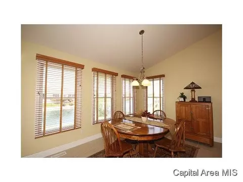 6505 Winterberry Ln, Springfield, IL 62712 photo 22