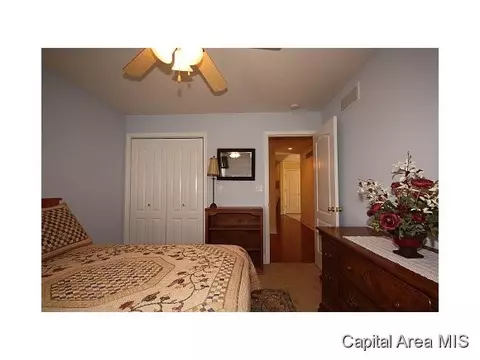 6505 Winterberry Ln, Springfield, IL 62712 photo 13