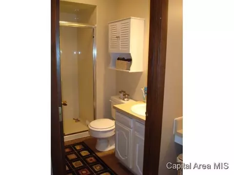3208 Ellendale Dr, Springfield, IL 62704 photo 13