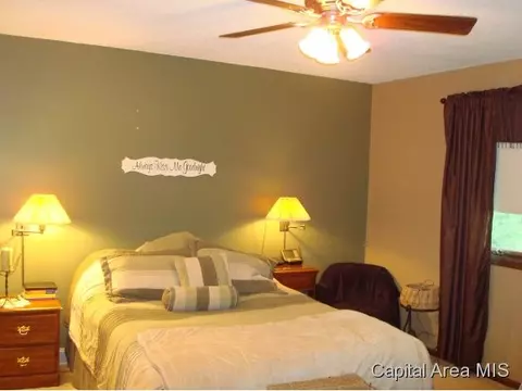 3208 Ellendale Dr, Springfield, IL 62704 photo 12