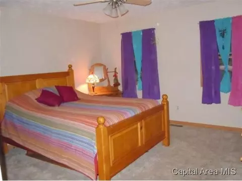 106 Maple, Loami, IL 62661 photo 5