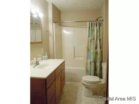 106 Maple, Loami, IL 62661 photo 6