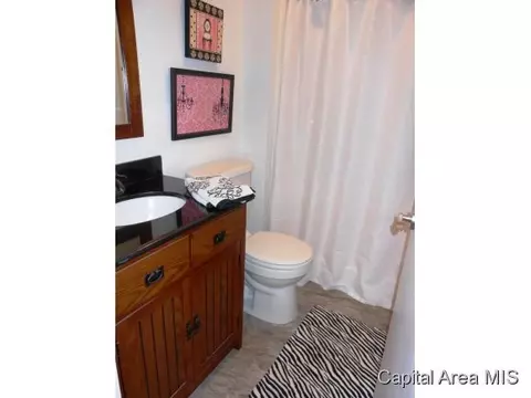 3204 Ellendale, Springfield, IL 62704 photo 13