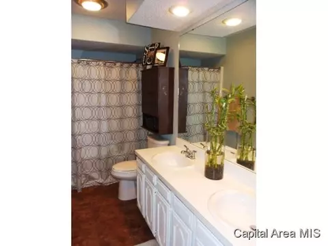 3204 Ellendale, Springfield, IL 62704 photo 15