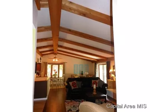 3204 Ellendale, Springfield, IL 62704 photo 5