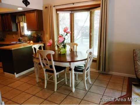 3204 Ellendale, Springfield, IL 62704 photo 10