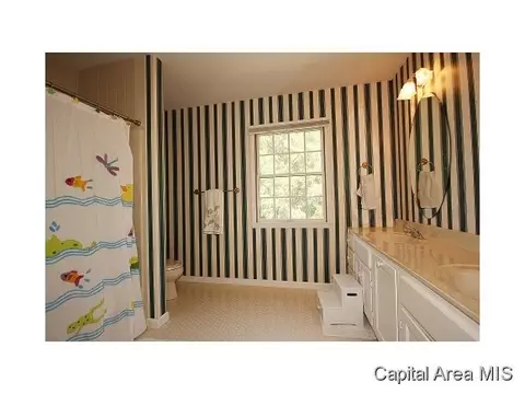 824 Coventry Pt, Springfield, IL 62702 photo 21