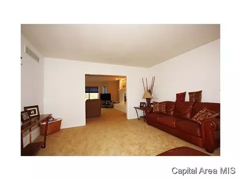 824 Coventry Pt, Springfield, IL 62702 photo 13