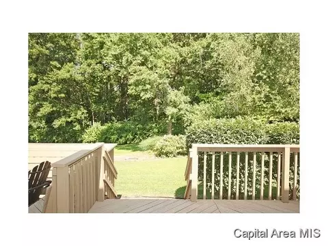 824 Coventry Pt, Springfield, IL 62702 photo 22