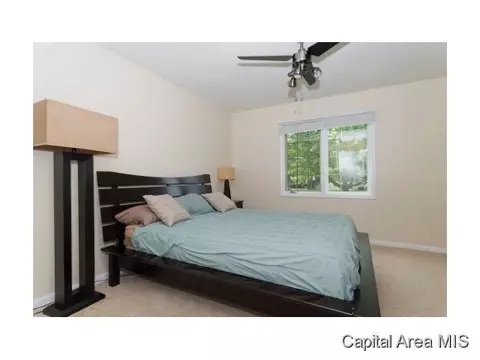 4009 Eagle Wing, Springfield, IL 62711 photo 14