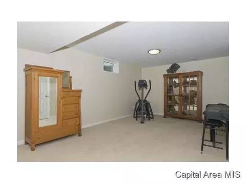 4009 Eagle Wing, Springfield, IL 62711 photo 18