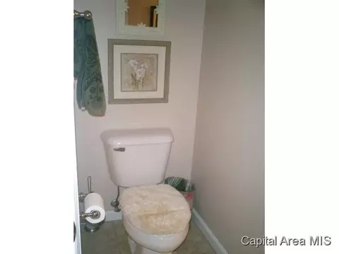 2915 Cronin, Springfield, IL 62711 photo 12