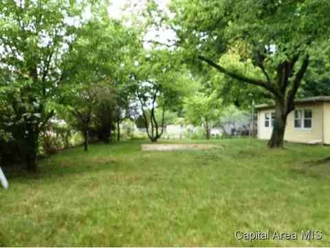 623 Witherspoon, Springfield, IL 62704 photo 17