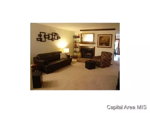 2405 Raleigh, Springfield, IL 62704 photo 3