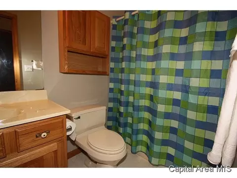 4411 Tulane, Springfield, IL 62712 photo 18