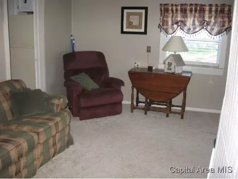 110 Elm, Thayer, IL 62689 photo 10